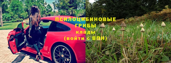 гидропоника Богданович