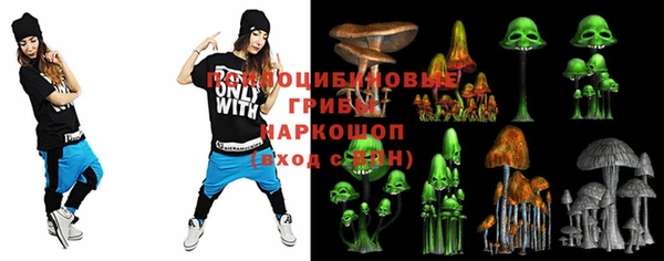 гидропоника Богданович