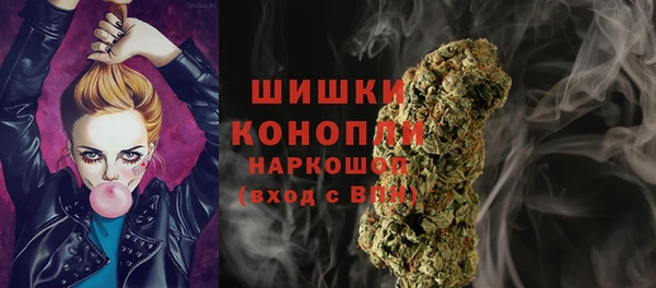 кокс Богородицк