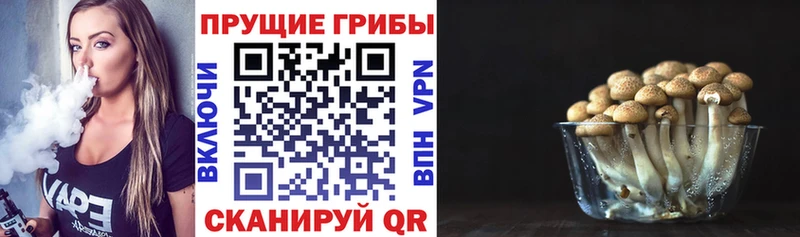 Галлюциногенные грибы прущие грибы  Гусиноозёрск 
